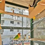 Caro Boutique 4* San Ġwann